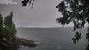 ./images/koeye/fitz-hugh/20260815/fitz-hugh20260815_194501M.jpg