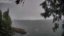 ./images/koeye/fitz-hugh/20260815/fitz-hugh20260815_195501M.jpg