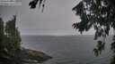 ./images/koeye/fitz-hugh/20260815/fitz-hugh20260815_204501M.jpg