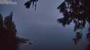 ./images/koeye/fitz-hugh/20260816/fitz-hugh20260816_054501M.jpg