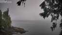 ./images/koeye/fitz-hugh/20260816/fitz-hugh20260816_080501M.jpg