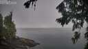 ./images/koeye/fitz-hugh/20260816/fitz-hugh20260816_083002M.jpg