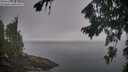 ./images/koeye/fitz-hugh/20260816/fitz-hugh20260816_083501M.jpg