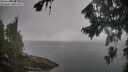./images/koeye/fitz-hugh/20260816/fitz-hugh20260816_085002M.jpg