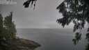 ./images/koeye/fitz-hugh/20260816/fitz-hugh20260816_090001M.jpg