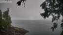 ./images/koeye/fitz-hugh/20260816/fitz-hugh20260816_091001M.jpg
