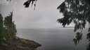 ./images/koeye/fitz-hugh/20260816/fitz-hugh20260816_094002M.jpg