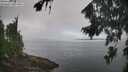 ./images/koeye/fitz-hugh/20260816/fitz-hugh20260816_095001M.jpg