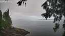 ./images/koeye/fitz-hugh/20260816/fitz-hugh20260816_095501M.jpg