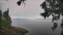 ./images/koeye/fitz-hugh/20260816/fitz-hugh20260816_102501M.jpg