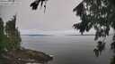 ./images/koeye/fitz-hugh/20260816/fitz-hugh20260816_103001M.jpg