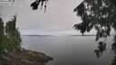 ./images/koeye/fitz-hugh/20260816/fitz-hugh20260816_103501M.jpg