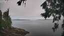 ./images/koeye/fitz-hugh/20260816/fitz-hugh20260816_104501M.jpg