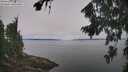 ./images/koeye/fitz-hugh/20260816/fitz-hugh20260816_111001M.jpg