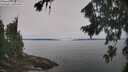 ./images/koeye/fitz-hugh/20260816/fitz-hugh20260816_114001M.jpg