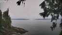 ./images/koeye/fitz-hugh/20260816/fitz-hugh20260816_114502M.jpg