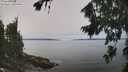 ./images/koeye/fitz-hugh/20260816/fitz-hugh20260816_120001M.jpg