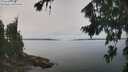 ./images/koeye/fitz-hugh/20260816/fitz-hugh20260816_121001M.jpg