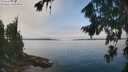 ./images/koeye/fitz-hugh/20260816/fitz-hugh20260816_122001M.jpg
