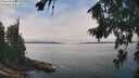 ./images/koeye/fitz-hugh/20260816/fitz-hugh20260816_124002M.jpg