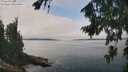./images/koeye/fitz-hugh/20260816/fitz-hugh20260816_124501M.jpg