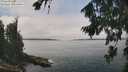./images/koeye/fitz-hugh/20260816/fitz-hugh20260816_125001M.jpg