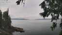 ./images/koeye/fitz-hugh/20260816/fitz-hugh20260816_125501M.jpg