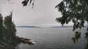 ./images/koeye/fitz-hugh/20260816/fitz-hugh20260816_131502M.jpg