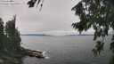 ./images/koeye/fitz-hugh/20260816/fitz-hugh20260816_132002M.jpg