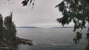 ./images/koeye/fitz-hugh/20260816/fitz-hugh20260816_132501M.jpg