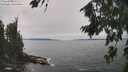 ./images/koeye/fitz-hugh/20260816/fitz-hugh20260816_133001M.jpg