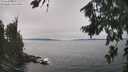 ./images/koeye/fitz-hugh/20260816/fitz-hugh20260816_134501M.jpg