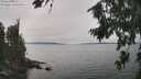 ./images/koeye/fitz-hugh/20260816/fitz-hugh20260816_135001M.jpg