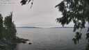 ./images/koeye/fitz-hugh/20260816/fitz-hugh20260816_140002M.jpg