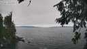 ./images/koeye/fitz-hugh/20260816/fitz-hugh20260816_143002M.jpg