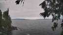 ./images/koeye/fitz-hugh/20260816/fitz-hugh20260816_143501M.jpg