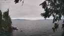 ./images/koeye/fitz-hugh/20260816/fitz-hugh20260816_144501M.jpg