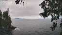 ./images/koeye/fitz-hugh/20260816/fitz-hugh20260816_145501M.jpg