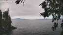 ./images/koeye/fitz-hugh/20260816/fitz-hugh20260816_150002M.jpg