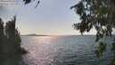 ./images/koeye/fitz-hugh/20260816/fitz-hugh20260816_160502M.jpg