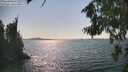 ./images/koeye/fitz-hugh/20260816/fitz-hugh20260816_161002M.jpg