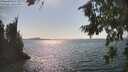 ./images/koeye/fitz-hugh/20260816/fitz-hugh20260816_161501M.jpg