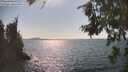 ./images/koeye/fitz-hugh/20260816/fitz-hugh20260816_162001M.jpg