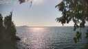 ./images/koeye/fitz-hugh/20260816/fitz-hugh20260816_162501M.jpg