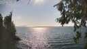./images/koeye/fitz-hugh/20260816/fitz-hugh20260816_163501M.jpg