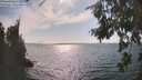 ./images/koeye/fitz-hugh/20260816/fitz-hugh20260816_164001M.jpg
