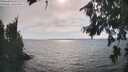 ./images/koeye/fitz-hugh/20260816/fitz-hugh20260816_165501M.jpg
