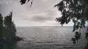 ./images/koeye/fitz-hugh/20260816/fitz-hugh20260816_170501M.jpg