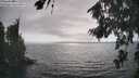 ./images/koeye/fitz-hugh/20260816/fitz-hugh20260816_171002M.jpg