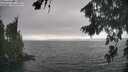 ./images/koeye/fitz-hugh/20260816/fitz-hugh20260816_173002M.jpg